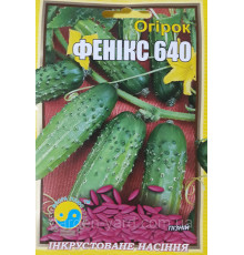 Семена огурец Феникс 640   Флора плюс 5г.