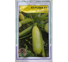 Семена кабачок Каризма F1 Syngenta Голландия