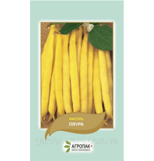 Насіння спаржева квасоля кущова Ляура 20шт. Агропак плюс