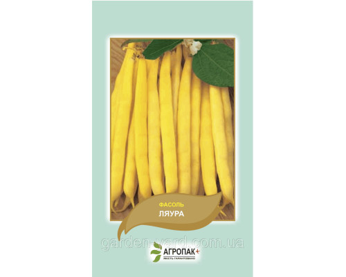 Насіння спаржева квасоля кущова Ляура 20шт. Агропак плюс
