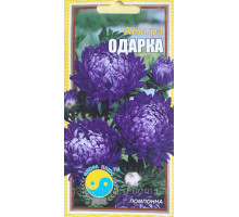 Семена цветов Астра  Одарка 0,2 г. Флора плюс