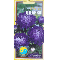 Семена цветов Астра  Одарка 0,2 г. Флора плюс