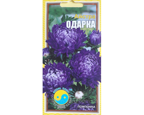 Семена цветов Астра  Одарка 0,2 г. Флора плюс