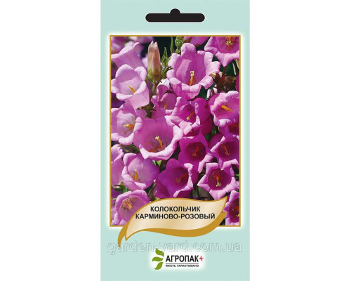 Семена цветов Колокольчик карминово-розовый 0,1г. Агропак плюс