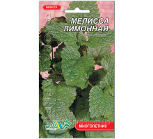 Семена Мелисса лимонная 0,2г. Флора маркет