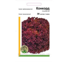 Семена салат полукочанный Конкорд Rijk Zwaan