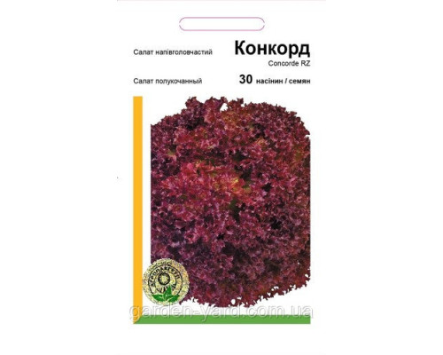 Семена салат полукочанный Конкорд Rijk Zwaan