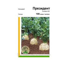 Семена сельдерей Президент 100шт.  Rijk Zwaan