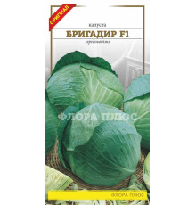 Семена капуста Бригадир F1 Флора плюс