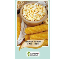 Семена кукуруза попкорн Пинг-понг 3г. Агропак плюс