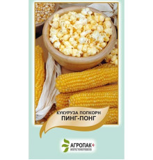 Семена кукуруза попкорн Пинг-понг 3г. Агропак плюс
