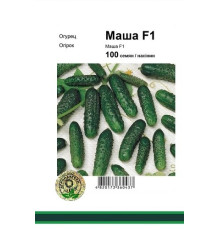 Семена огурец Маша F1 100шт. Seminis Голландия