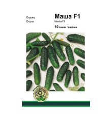 Семена огурец Маша F1 10шт. Seminis Голландия