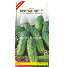 Насіння огірок Бригадний F1 1,5 р. Флора плюс