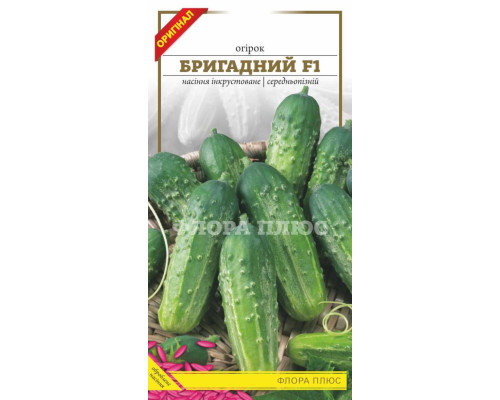 Семена огурец Бригадный F1  1,5г. Флора плюс