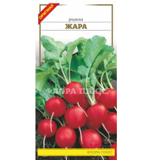 Семена редис Жара 3г. Флора плюс